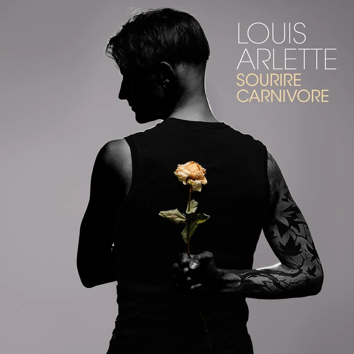 Pochette de SOURIRE CARNIVORE