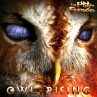 Pochette de Owl Rising