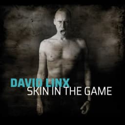 Pochette de Skin in the Game