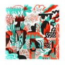 Pochette de Nog
