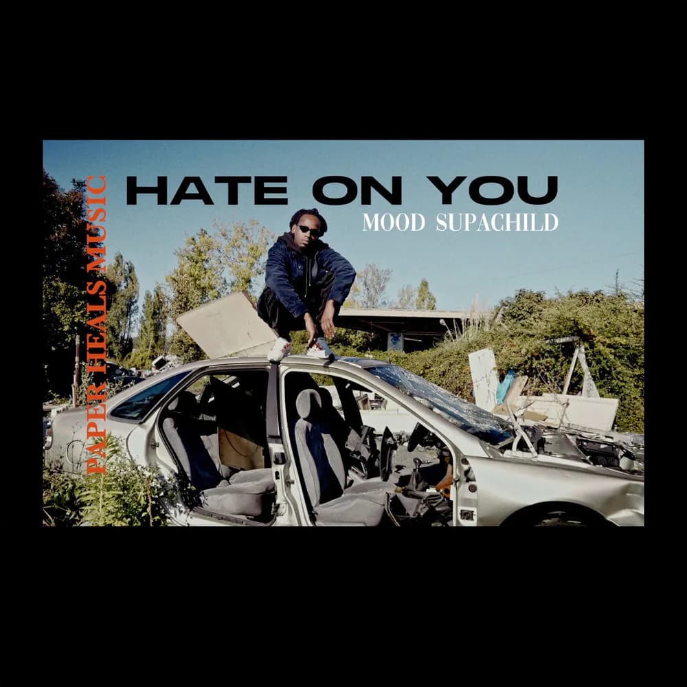 Pochette de Hate on You
