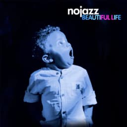 Pochette de Beautiful Life