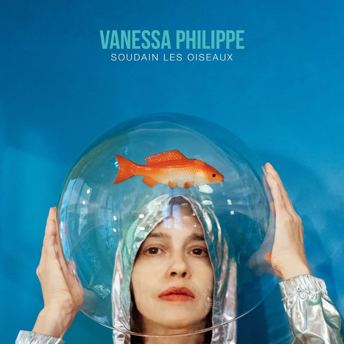 Pochette de Soudain les oiseaux
