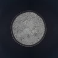 Pochette de Retrogrades