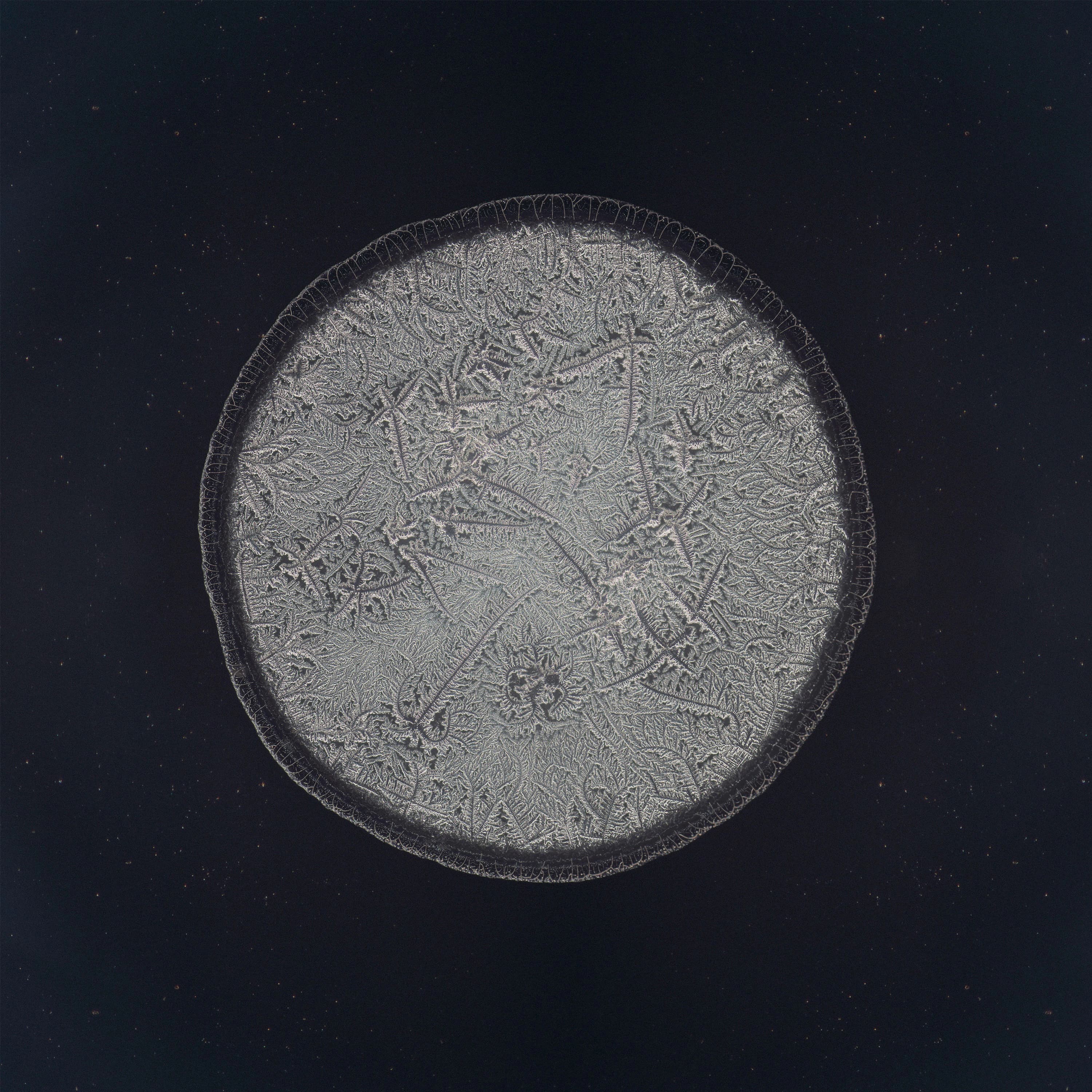 Pochette de Retrogrades