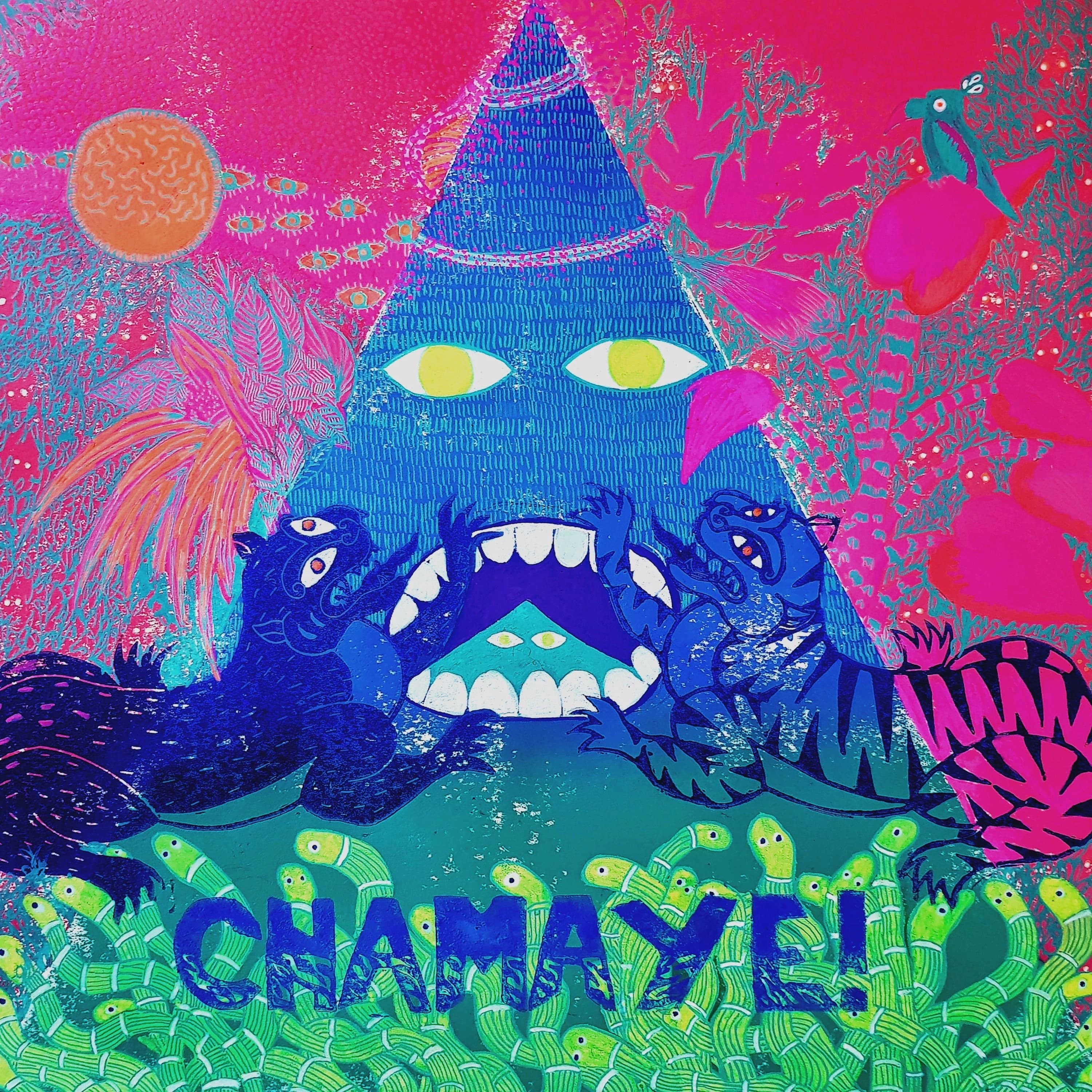 Pochette de Chamaye!