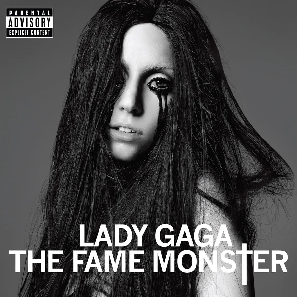 Pochette de The Fame Monster