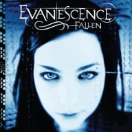 Pochette de Fallen