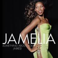 Pochette de Something About You (Mixes)