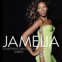 Pochette de Something About You (Mixes)