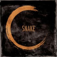 Pochette de Snake