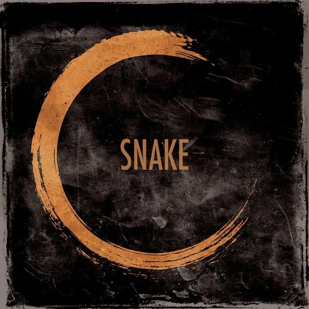 Pochette de Snake