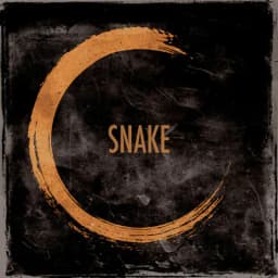 Pochette de Snake