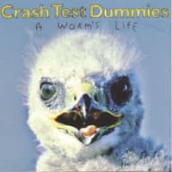 Pochette de A Worm's Life
