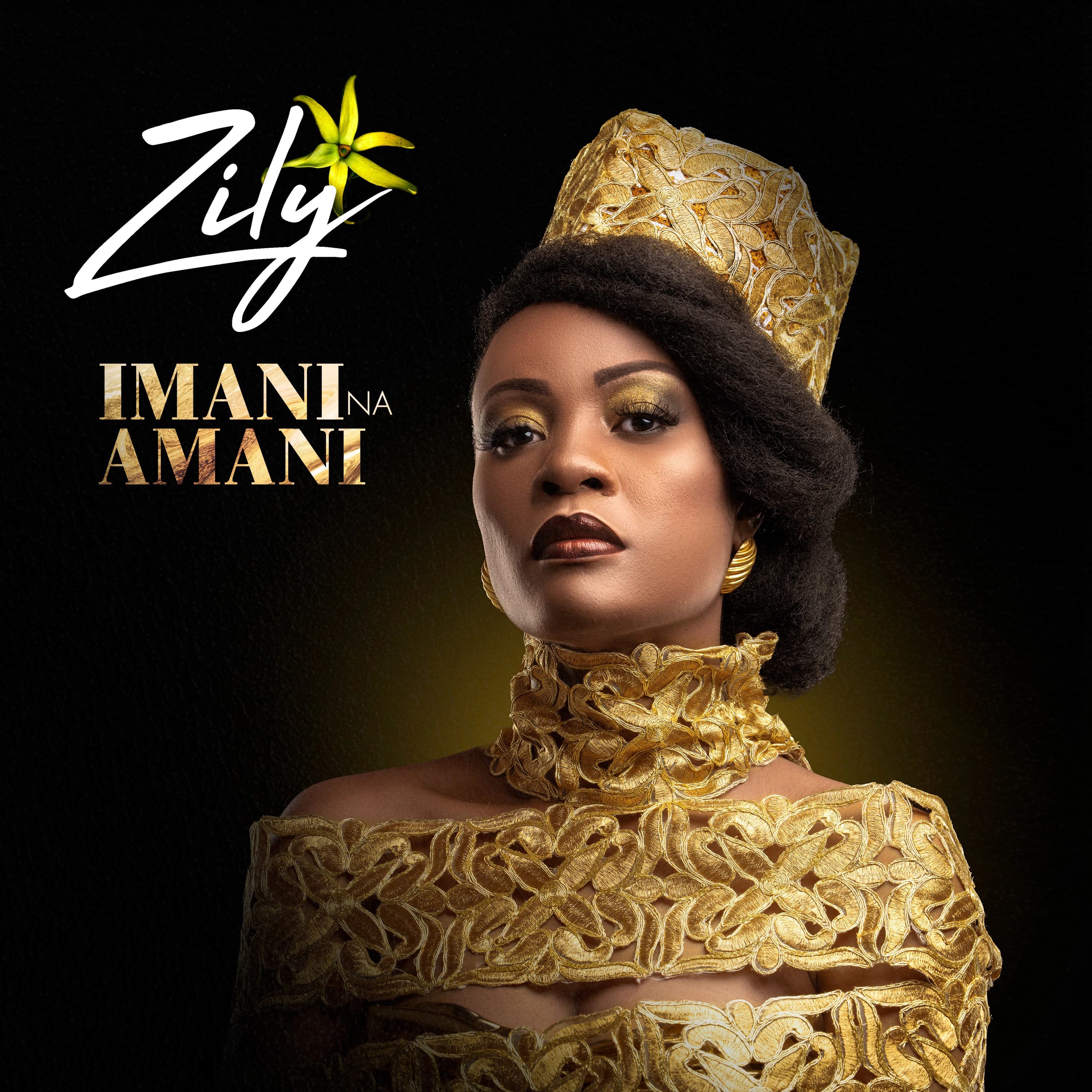 Pochette de Imani Na Amani