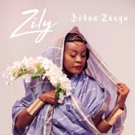 Pochette de Debaa Zangu