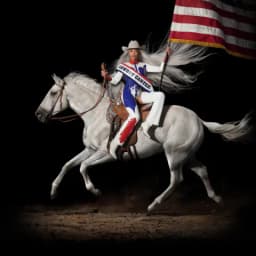 Pochette de COWBOY CARTER