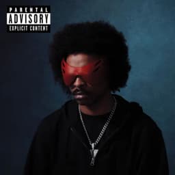 Pochette de 24