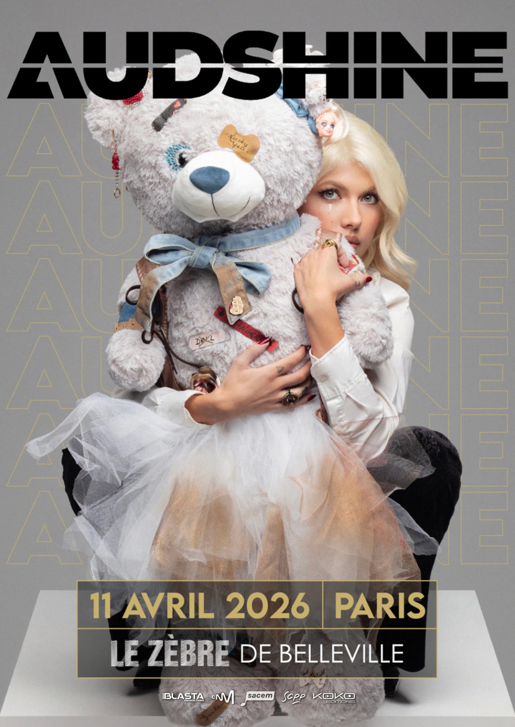 Affiche de Le Zèbre de Belleville