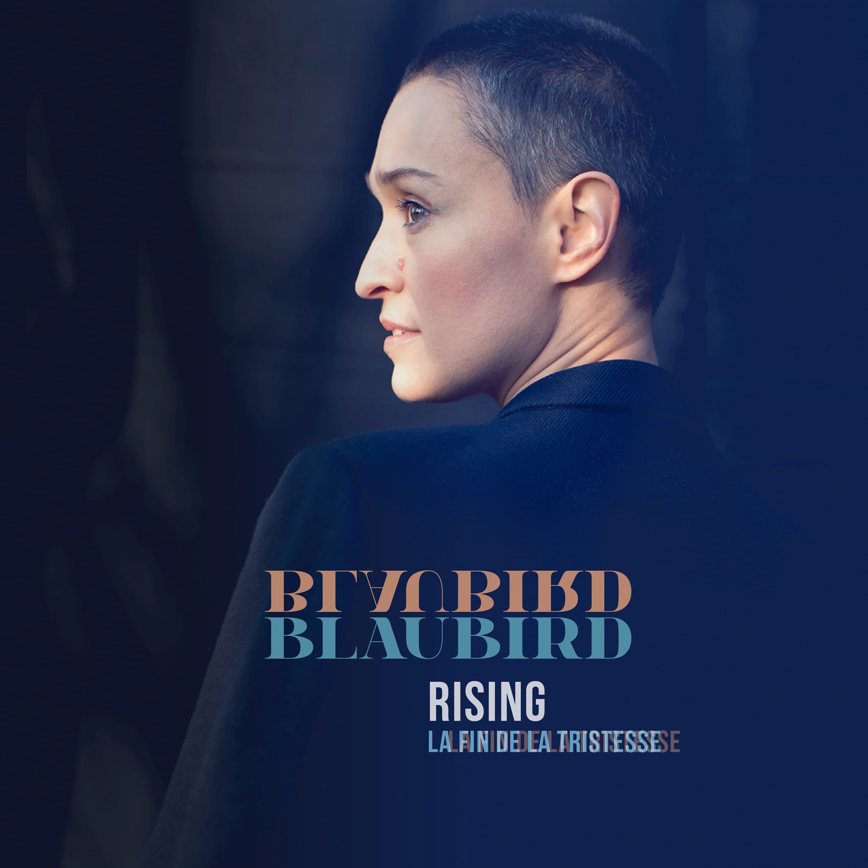 Pochette de Rising (La fin de la tristesse)