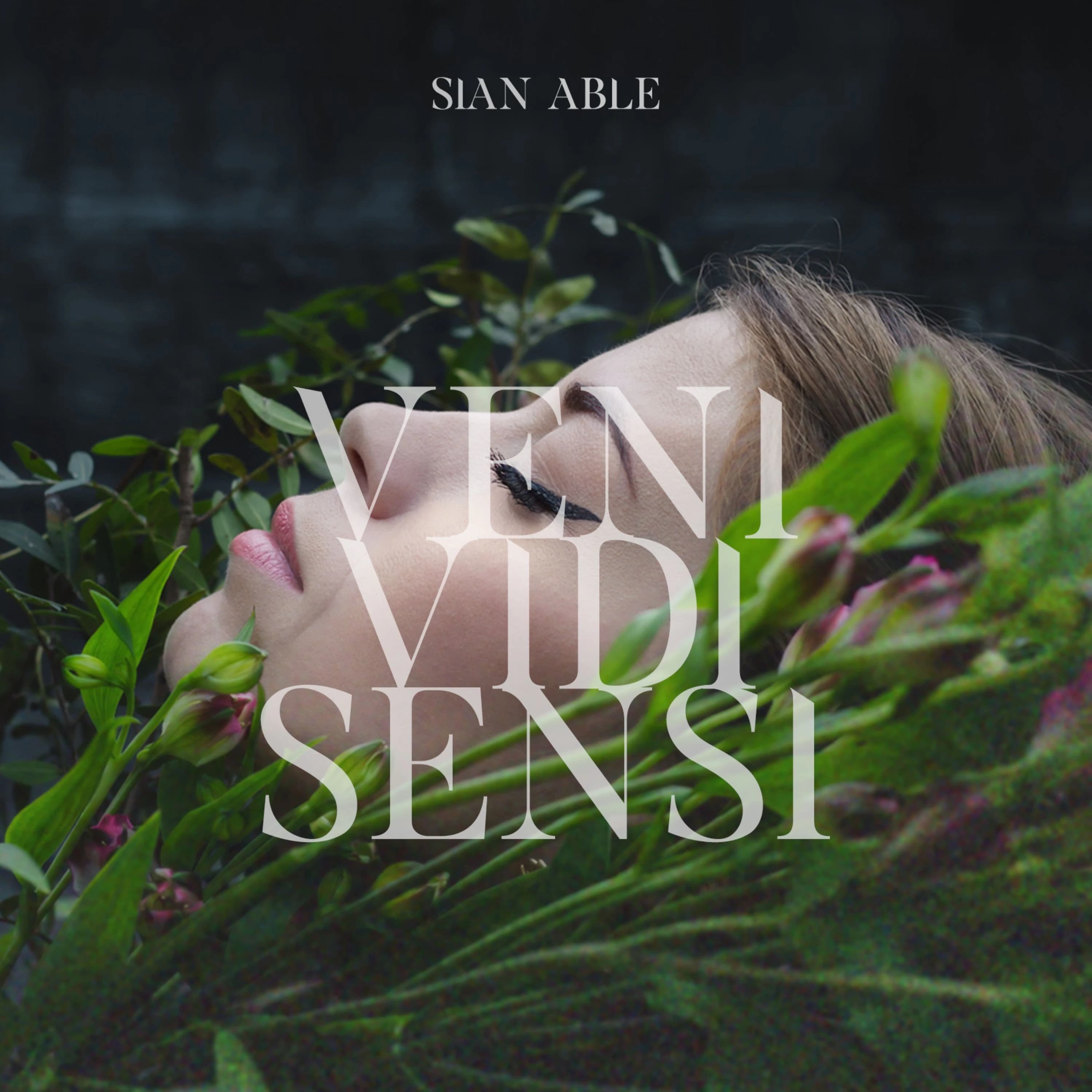 Pochette de Veni Vidi Sensi
