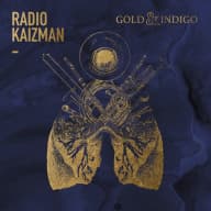 Pochette de Gold & Indigo