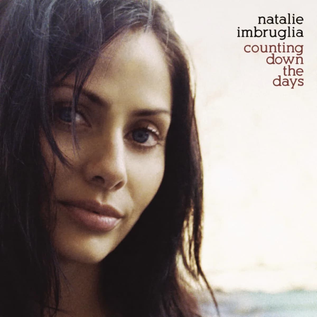 Pochette de Counting Down The Days