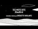 Tes mots dits (feat. Tcheky Karyo), vidéo de BlauBird