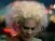 Pink - Who Knew
