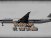 Boeing Jet And Caravelle