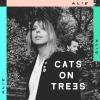 Cats on trees