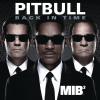 Pitbull
