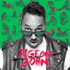Pigeon John