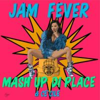 Mash Up Di Place (feat Cé'Cile) - Jam Fever