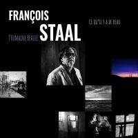 Ce qu'il y a de beau - Francois Staal