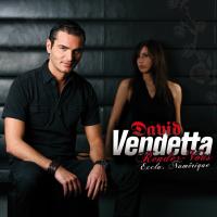 Love To Love You Baby - David Vendetta