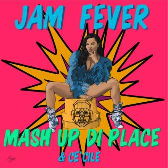 Mash up Di Place - Single